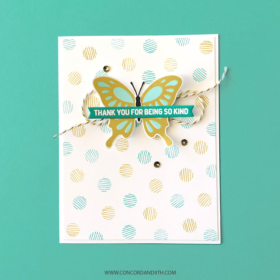 Paquete de mariposas llamativas