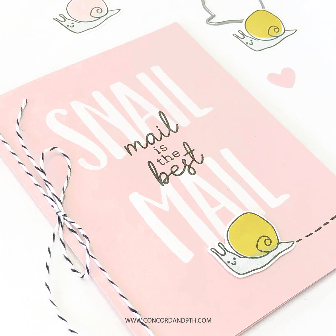 Snail Mail Bundle