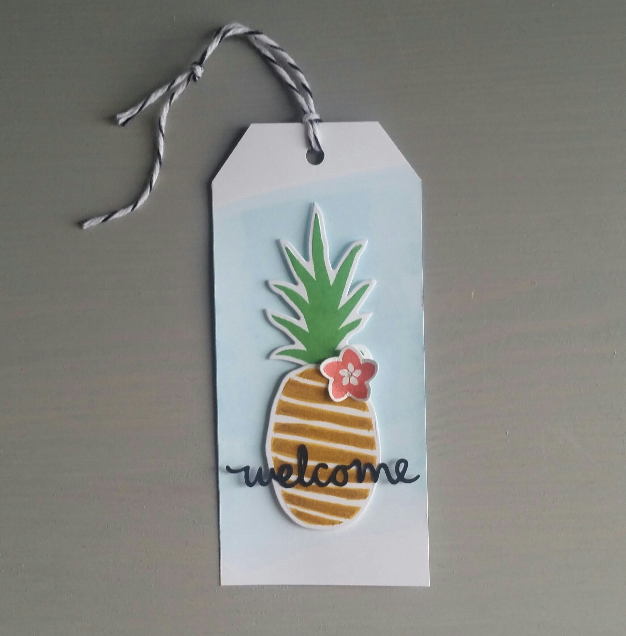 Paquete de piñas de arte pop